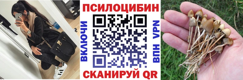 Галлюциногенные грибы мухоморы Северо-Курильск